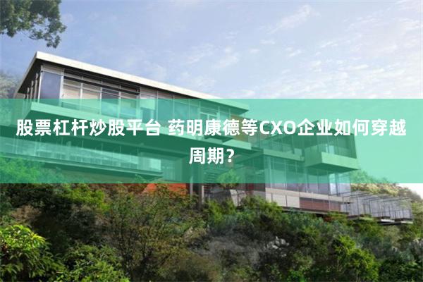 股票杠杆炒股平台 药明康德等CXO企业如何穿越周期？