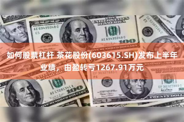 如何股票杠杆 茶花股份(603615.SH)发布上半年业绩，由盈转亏1267.91万元