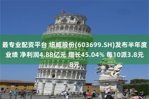 最专业配资平台 纽威股份(603699.SH)发布半年度业绩 净利润4.88亿元 增长45.04% 每10派3.8元