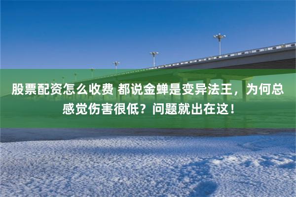 股票配资怎么收费 都说金蝉是变异法王，为何总感觉伤害很低？问题就出在这！