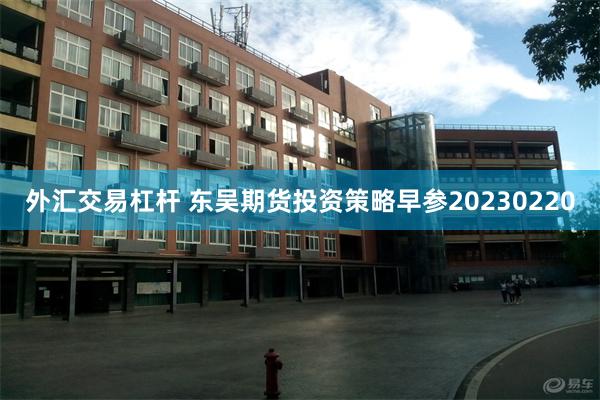 外汇交易杠杆 东吴期货投资策略早参20230220