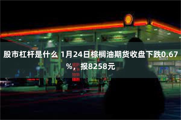 股市杠杆是什么 1月24日棕榈油期货收盘下跌0.67%，报8258元