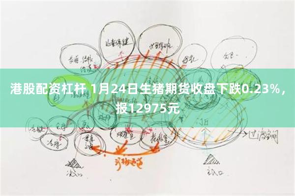 港股配资杠杆 1月24日生猪期货收盘下跌0.23%，报12975元