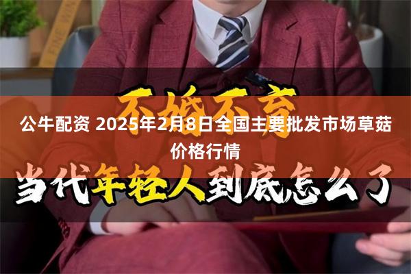 公牛配资 2025年2月8日全国主要批发市场草菇价格行情