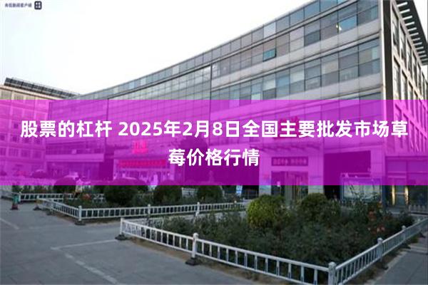 股票的杠杆 2025年2月8日全国主要批发市场草莓价格行情