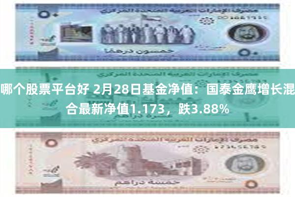 哪个股票平台好 2月28日基金净值：国泰金鹰增长混合最新净值1.173，跌3.88%