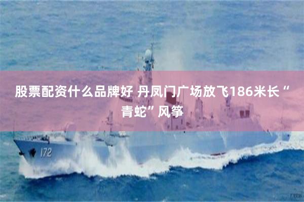 股票配资什么品牌好 丹凤门广场放飞186米长“青蛇”风筝