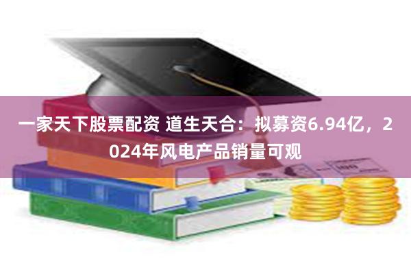 一家天下股票配资 道生天合：拟募资6.94亿，2024年风电产品销量可观