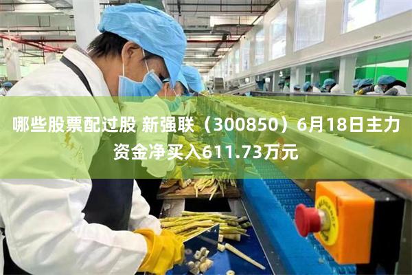 哪些股票配过股 新强联（300850）6月18日主力资金净买入611.73万元