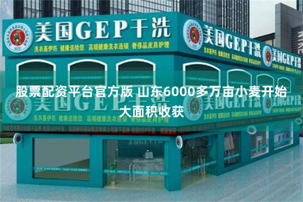 股票配资平台官方版 山东6000多万亩小麦开始大面积收获