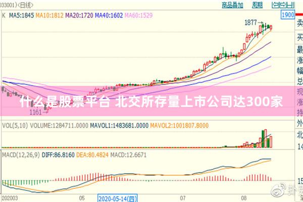 什么是股票平台 北交所存量上市公司达300家