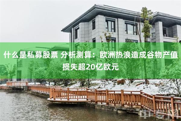 什么是私募股票 分析测算：欧洲热浪造成谷物产值损失超20亿欧元