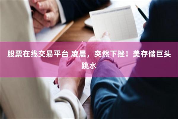 股票在线交易平台 凌晨，突然下挫！美存储巨头跳水