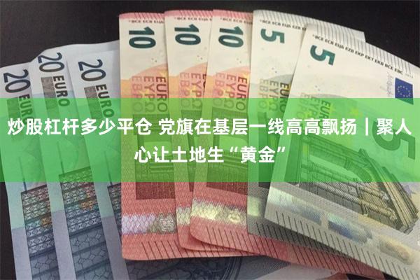 炒股杠杆多少平仓 党旗在基层一线高高飘扬｜聚人心让土地生“黄金”