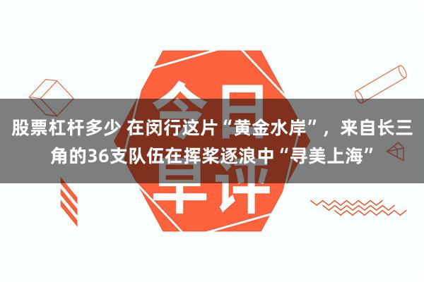 股票杠杆多少 在闵行这片“黄金水岸”，来自长三角的36支队伍在挥桨逐浪中“寻美上海”